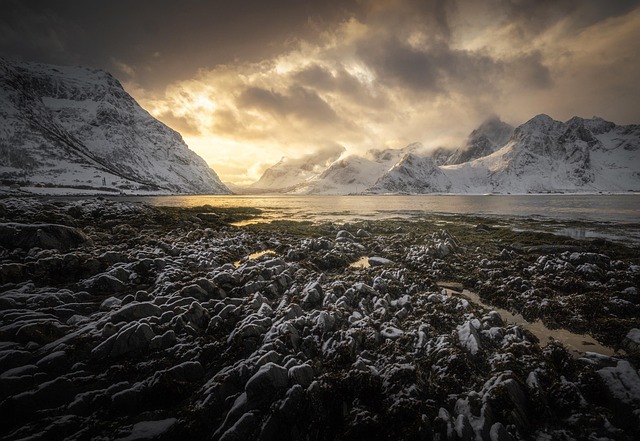 norway fjord fishing boat dawn